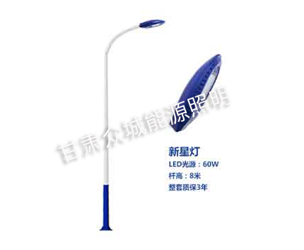 广河爆款市电路灯